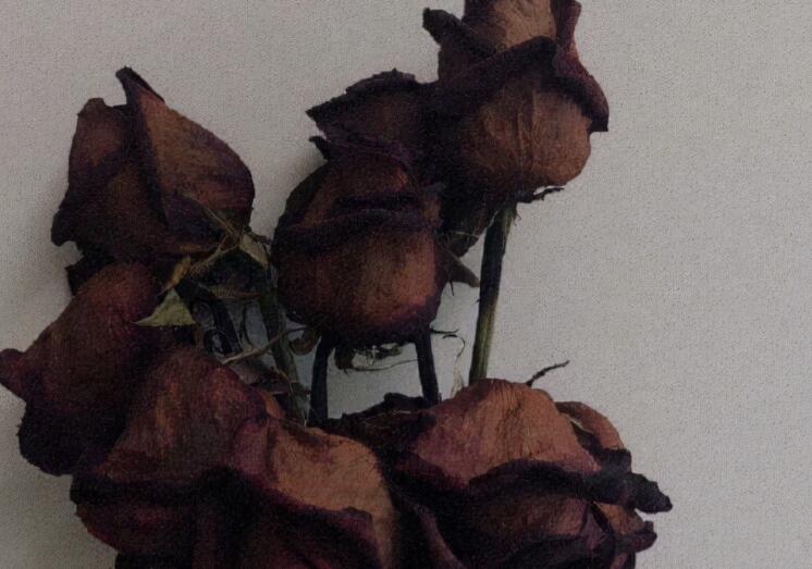 发朋友圈暗示喜欢你