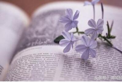 优美励志的古风句子文案