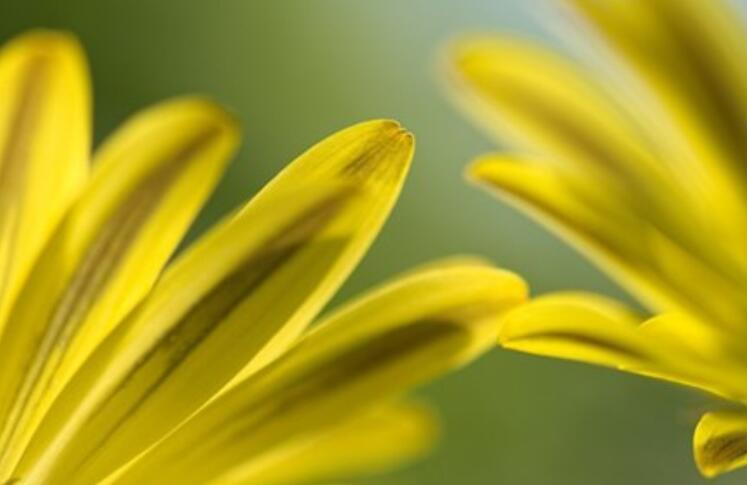 女人三十岁祝福语简短