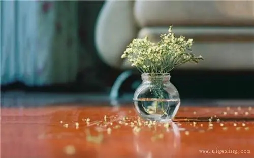 关于感情的精辟句子文案