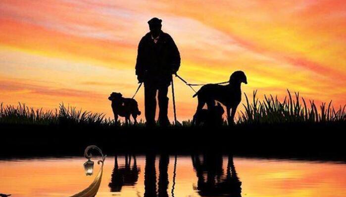 形容社会人心复杂的句子文案