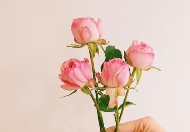 给朋友祝福语简短的话