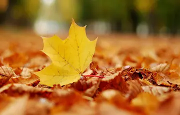 写秋天的句子文案短句