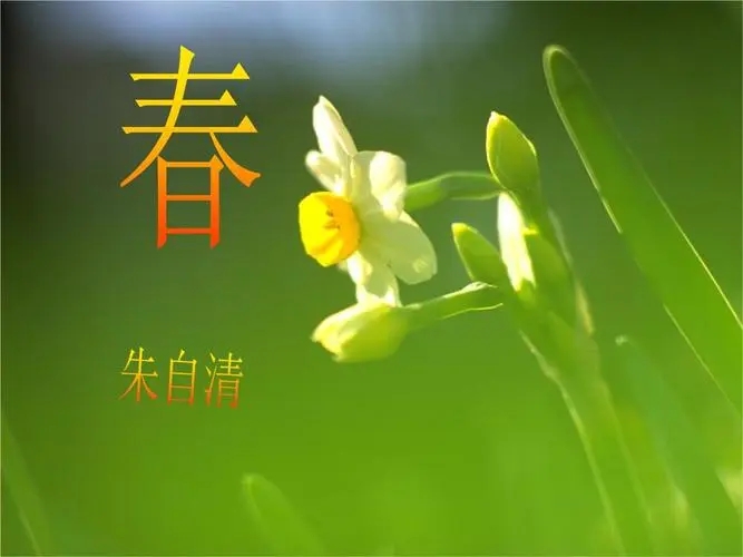 带有春字的诗句文案