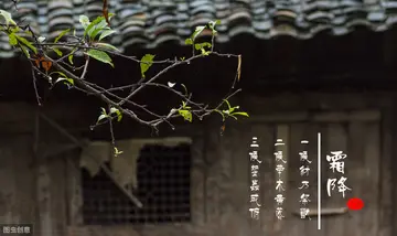 关于霜降的句子文案