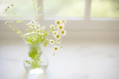 安静温暖的句子文案