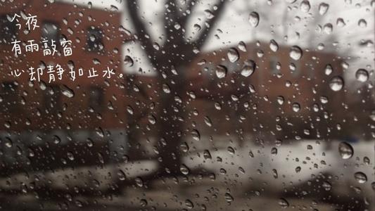 关于下大雨的句子文案