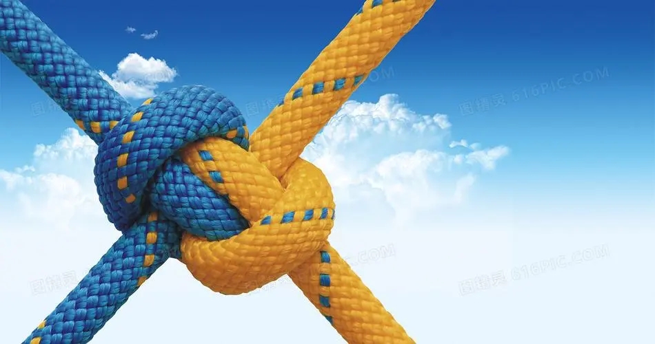 团结就是力量的感悟