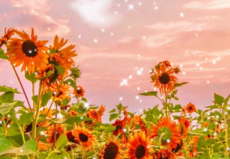 正能量精简短句