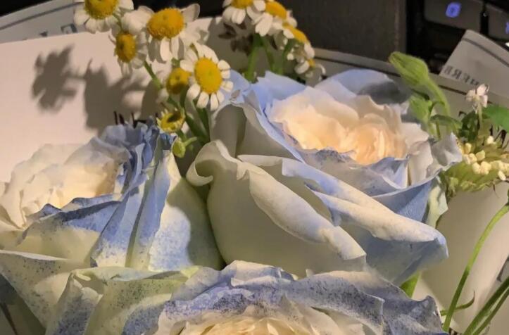 美言美句大全情感