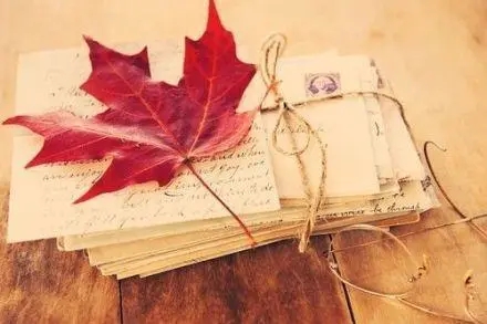 送给自己感情受伤的话