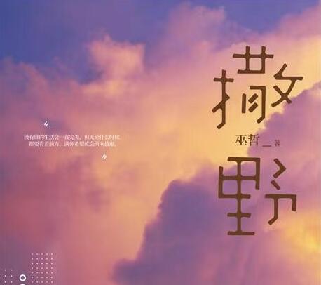 撒野正能量的句子文案