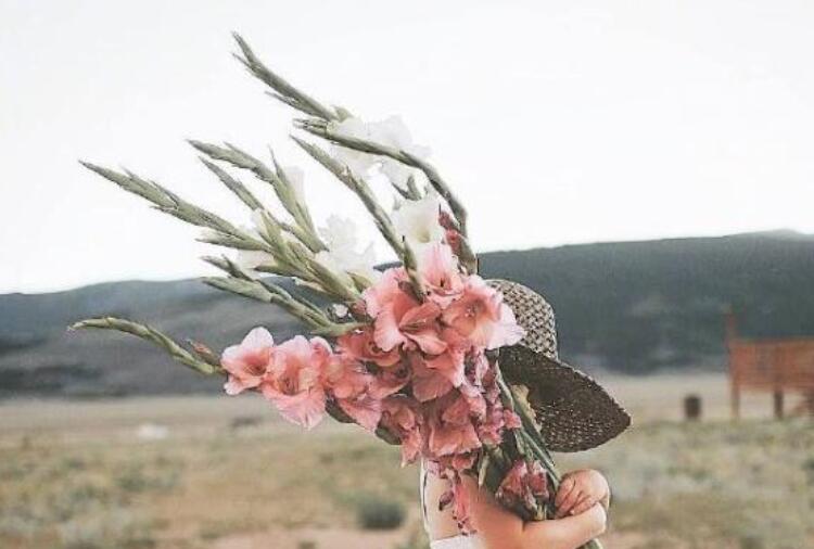 每日签到搞笑句子文案