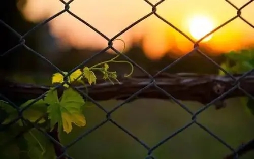 人生何处不相逢唯美经典句子文案