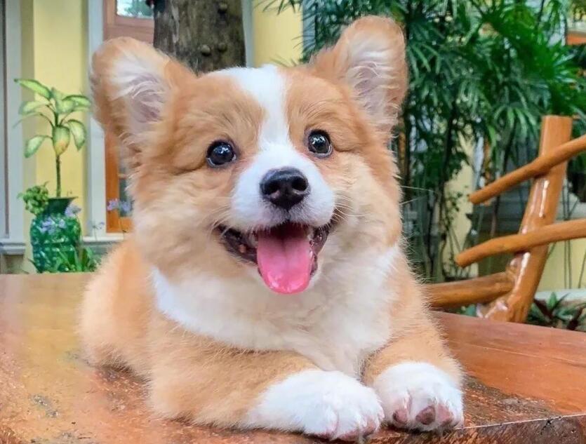 温柔到爆的神仙句子文案个性签名