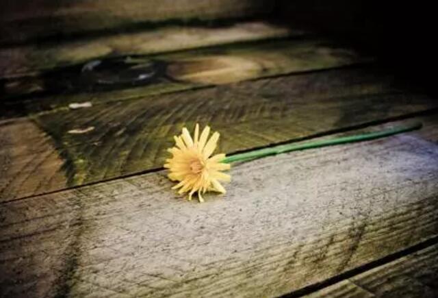 岁月经不起等待的说说文案