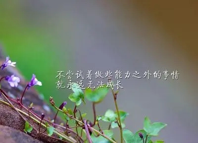 关于要懂得尝试的名言