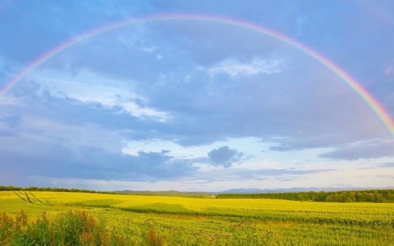 超好看的文案配图