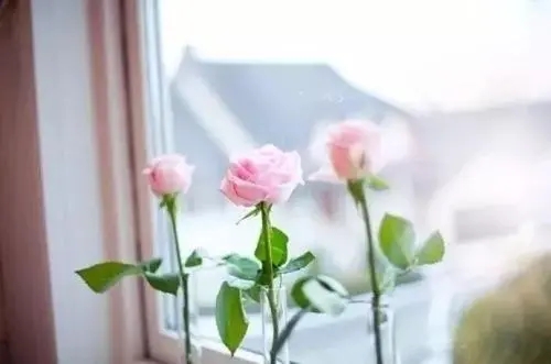 看见你花钱看不见你干活的句子文案