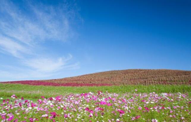 空间表白说说文案大全