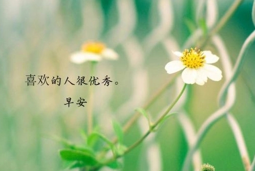 给对象说早安的情话短句子文案