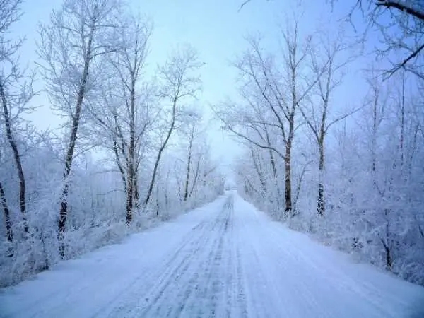 表示大雪的句子文案
