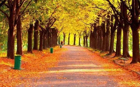 qq超级温柔的个性签名