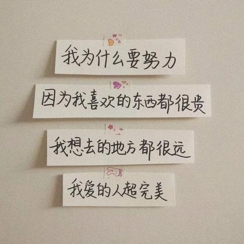 女人努力靠自己的句子文案