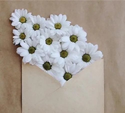 朋友圈晒花的唯美句子文案