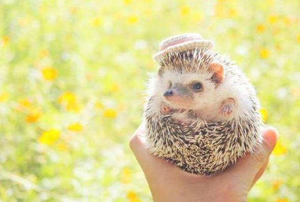 早安正能量简短句子文案