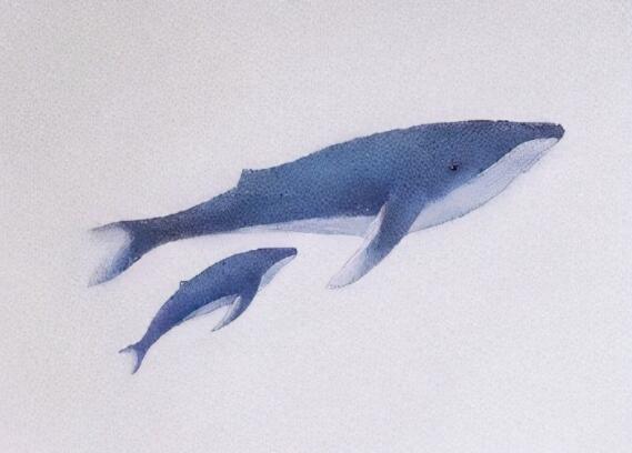 喜欢一个人的表白情书