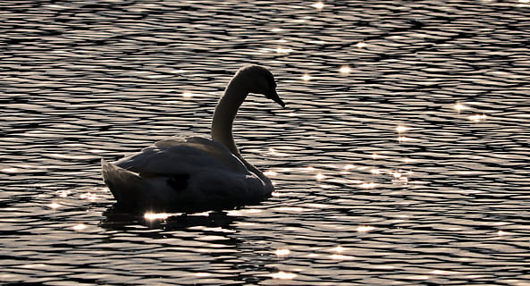 保佑家人平安健康的语句文案