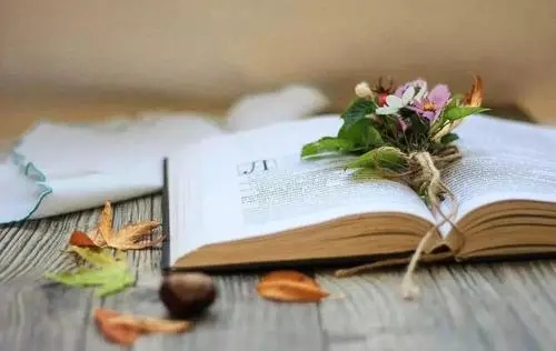 妈妈护你周全的精美句子文案