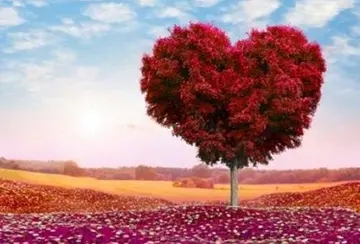 表达幸福的唯美句子文案