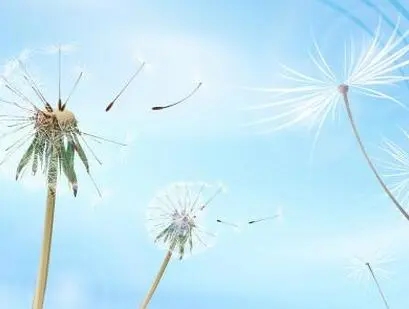 工作调离简短感言美句