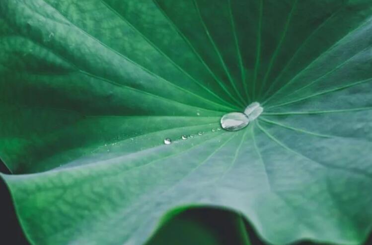 形容夏天很凉快的诗句文案