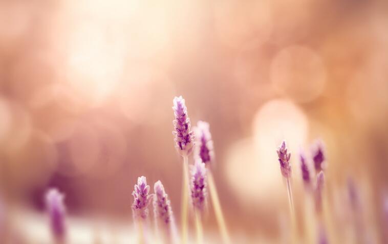 成长的代价的名言