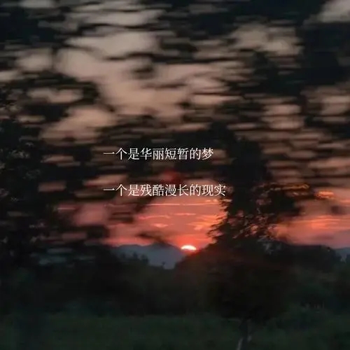 温柔的神仙句子文案英文一段