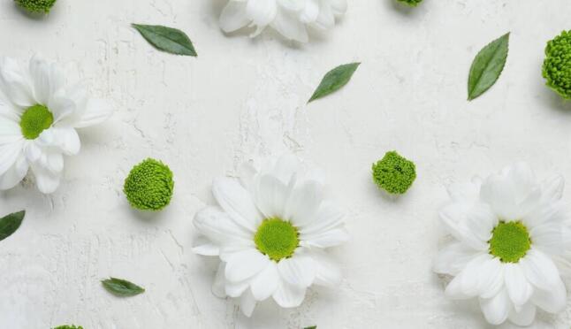 微信浪漫句子文案说说心情