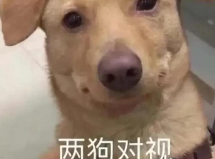 自动回复神仙句子文案