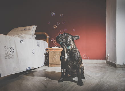 细节描写200字段落