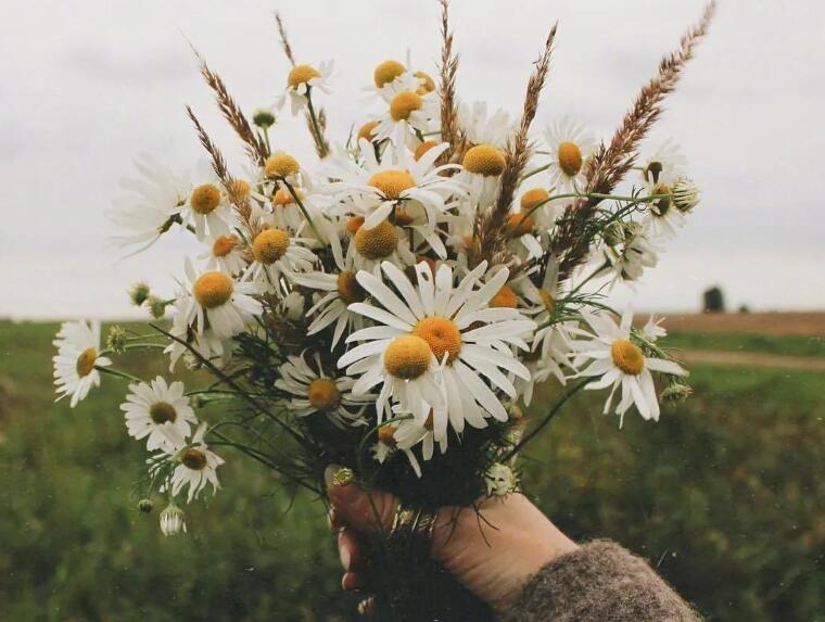 励志正能量短句