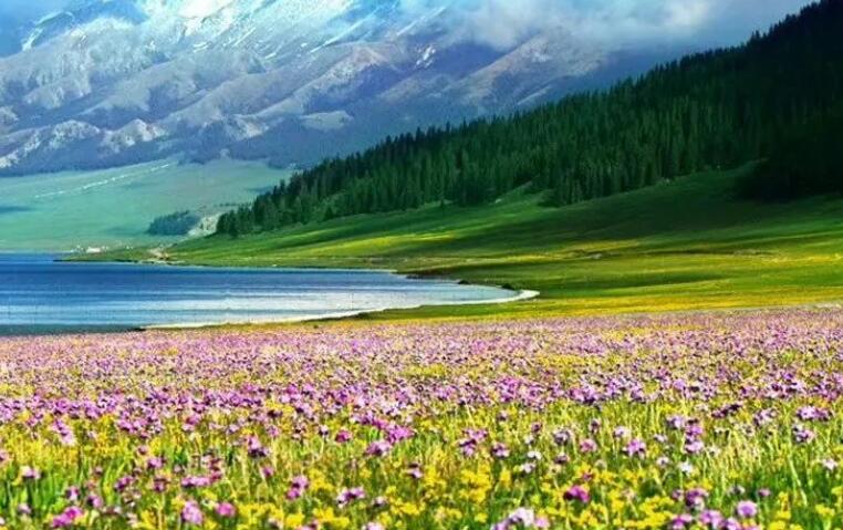 感受大自然的美好文案