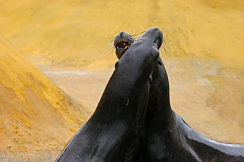 要走了舍不得的说说文案