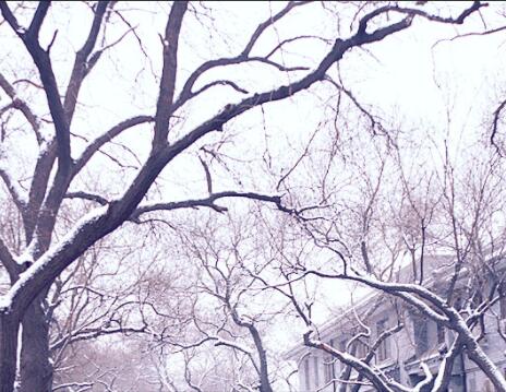 描写北京冬天的唯美诗句文案