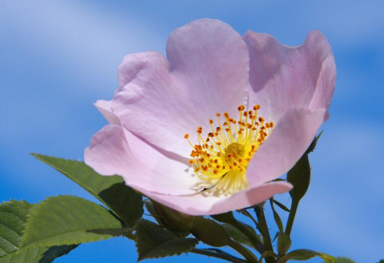 抖音发自己照片的正能量句子文案