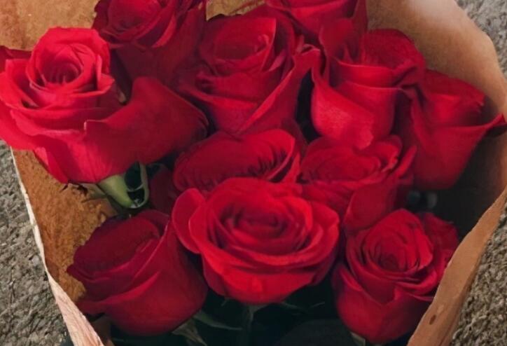 形容鲜花的浪漫的句子文案