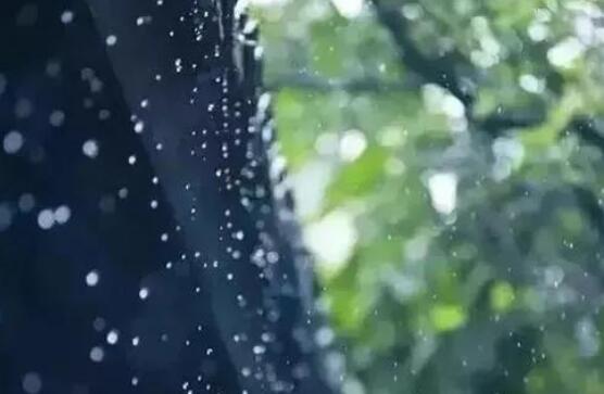 雨后空气清新的句子文案