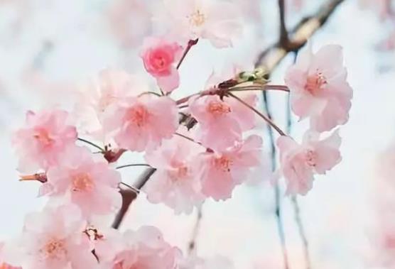 表达默默陪伴的古诗词