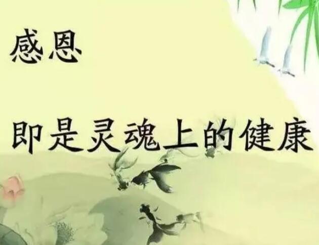 感恩教育手抄报内容